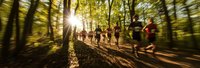 Laufwettbewerb durch den Wald